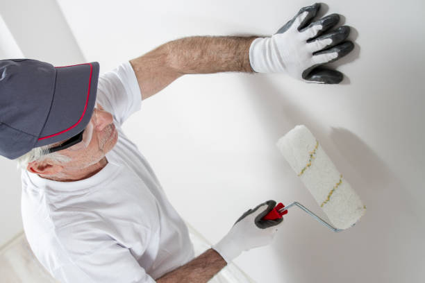 Best Comprehensive Air Testing for Mold Contaminants  in Pasadena Hills, FL