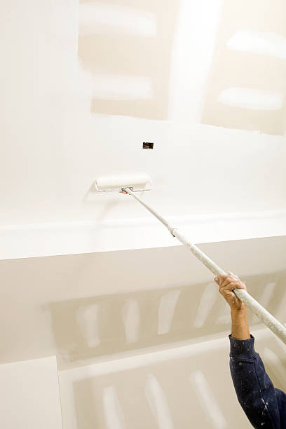 Best Mold Prevention Services  in Pasadena Hills, FL